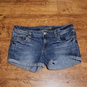 AEO Distressed Artist Denim Shorts Size 14